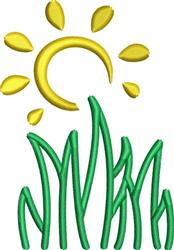 Sun & Grass