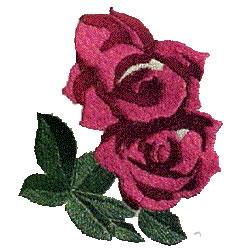 Lexington Rose