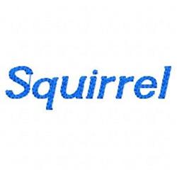quick stitch squirrel machine embroidery pattern - Squirrel for decorative pillow covers