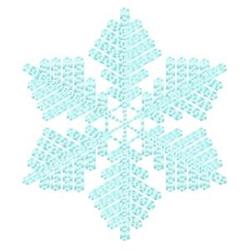 Winter Flake - 4x4 snowflake detailed machine embroidery design for kitchen tea towels
