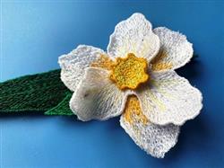FSL Daffodil