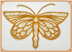 FSL Dragonfly