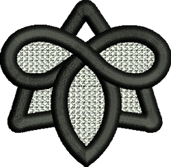 FSL infinity symbol within a star design with bold black outlines and clean geometric style.