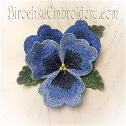 FSL Pansy