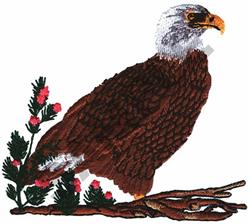 BALD EAGLE - 4x4 bird detailed machine embroidery design perfect for Framed Wall Art