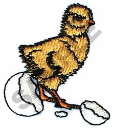 Colorful chick with soft feathers on a cracked eggshell, perfect for cheerful Easter celebrations.