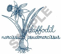 Daffodil line art in deep blue features a trumpet-shaped flower and elongated leaves, perfect for spring.