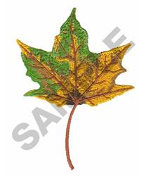 FALL BLACK MAPLE LEAF