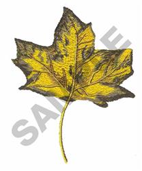 FALL RED MAPLE LEAF