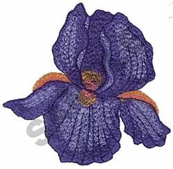 IRIS