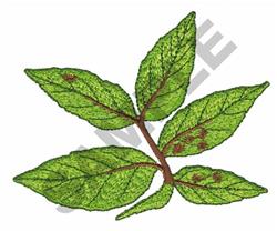 Realistic green leaf cluster with intricate textures and subtle shading, connected by brown stems.