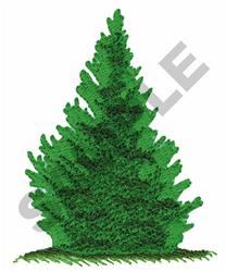 Pine Tree