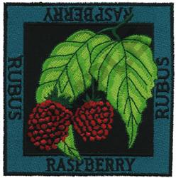 RASPBERRY