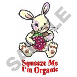 bunny rabbit detailed machine embroidery - RASPBERRY RABBIT for Kids Room Decor