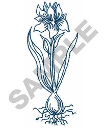 Redwork iris flower with elegant petals, elongated leaves, and visible roots, perfect for spring designs.