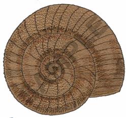 seashell detailed machine embroidery - SEASHELL perfect for decorative pillow covers