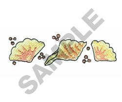 SEASHELLS