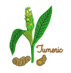TUMERIC NAMED