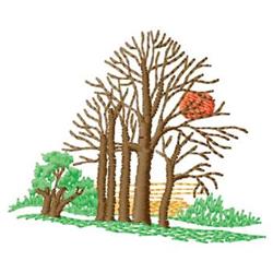 Bare trees with intricate branches under a vibrant orange sunset, featuring green bushes in autumn's serene atmosphere.