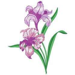 Bearded Iris - 6x10 leaf detailed embroidery design for decorative pillow covers
