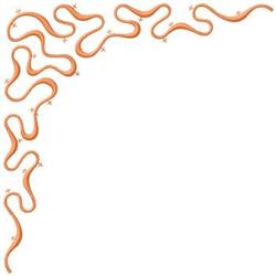 Curvy line border in vibrant orange featuring playful fluid shapes. Perfect for quilting projects.