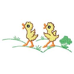 Ducks