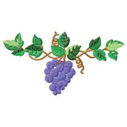 Colorful grape cluster featuring rich purple grapes and detailed green leaves with curly vines.
