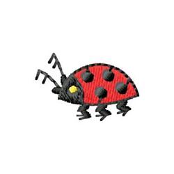Ladybug
