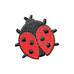 Ladybug