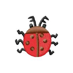 Ladybug