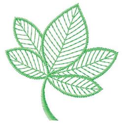 Leaf collection featuring green leaves with intricate veins, showcasing a fresh and natural style.