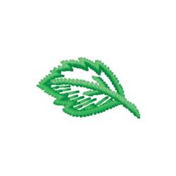 Leaf