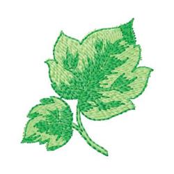 Leaf