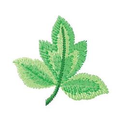 Realistic leaf design showcasing various green shades and textured detailing, perfect for spring themes.