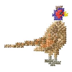 Pheasant - 4x4 bird quick stitch machine embroidery design for decorative pillow covers