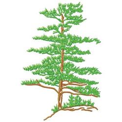 detailed tree machine digital embroidery pattern - Pine perfect for reusable tote bags