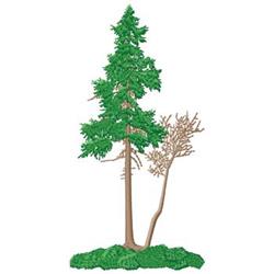 beginner-friendly tree machine embroidery pattern - Pine Tree for kitchen tea towels