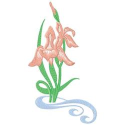 Delicate pink iris flower with soft green leaves and a gentle blue water swirl, perfect for spring decorative projects.