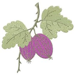 Plums