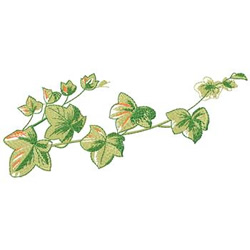 狢*様 SUBLATIONS EMBROIDERY ニット IVY GREEN qfl00071.jpg