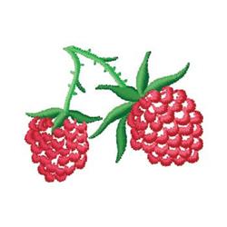 Colorful design featuring two vibrant red raspberries with detailed textures on a green stem, perfect for summer.