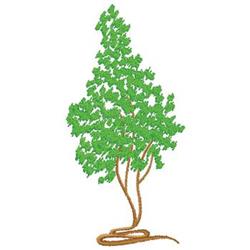 Realistic tree with lush green leaves and a winding brown trunk set against a natural backdrop.