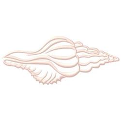 Seashell in soft line art style with gentle curves and elegant ridges, showcasing minimalist coastal design.