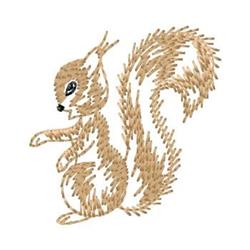 Squirrel