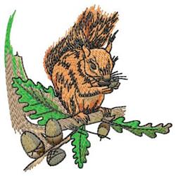 squirrel detailed machine digital embroidery - Squirrel perfect for kitchen aprons