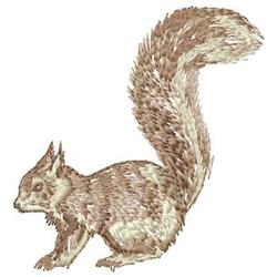 beginner-friendly squirrel machine embroidery pattern - Squirrel for kitchen tea towels