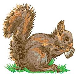 squirrel detailed machine embroidery - Squirrel perfect for patchwork quilt blocks