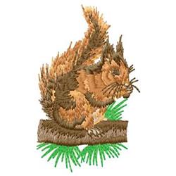 beginner-friendly squirrel machine embroidery pattern - Squirrel for kitchen aprons