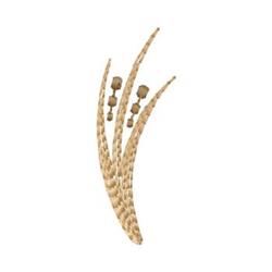 Stylized plant elements in minimalistic design with tall grass-like shapes and round seed-like details.