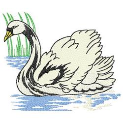 Realistic swan gliding on calm blue water, framed by green grass, perfect for serene embroidery design.